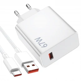 МЗП 1Port Xiaomi MDY-M13-EF USB-C 67W Type-C to Type-C Original China